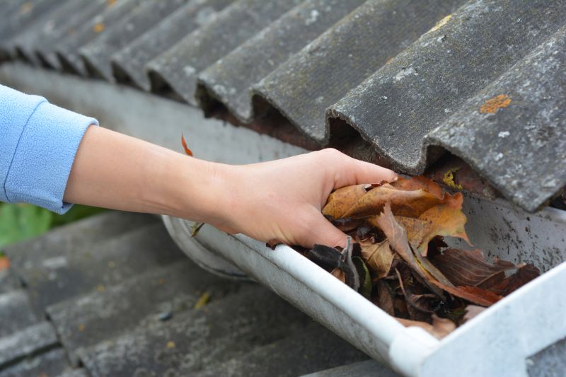 Clean Gutter Covers